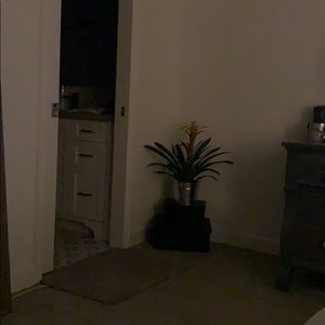 Meet your Posher, Jozette